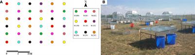 The stability of perennial grasses mediates the negative impacts of long-term warming and increasing precipitation on community stability in a desert steppe